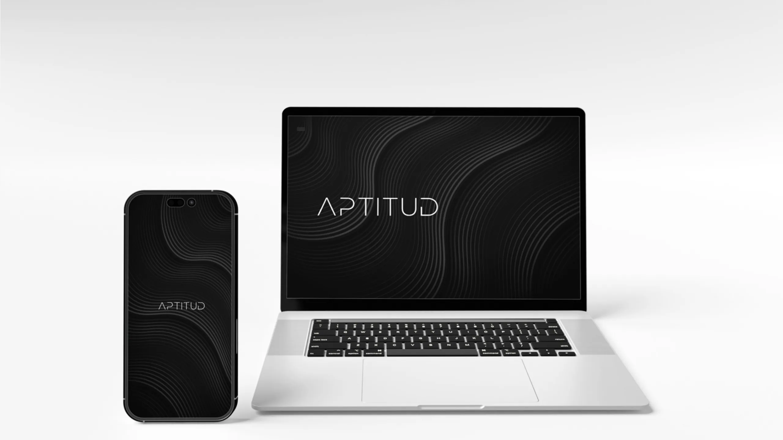 Aptitud brand identity 5